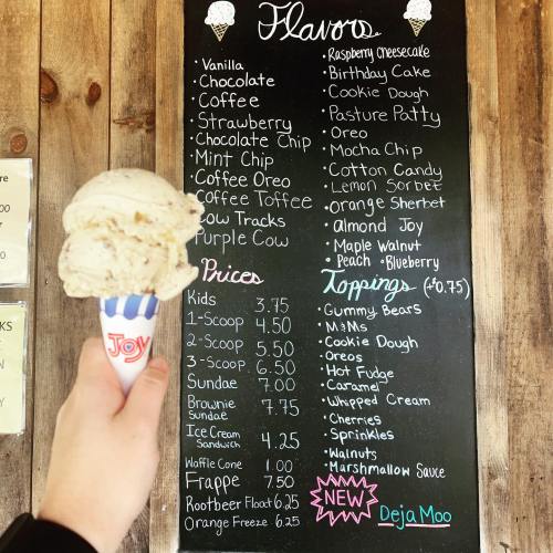 A hand holding a scoop of ice cream in a cone, with a menu of flavors and prices on a wooden wall behind.