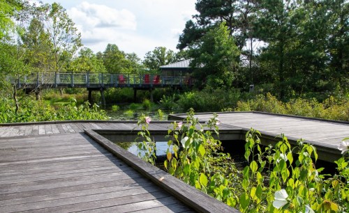 A wooden deck extends over a pond, surrounded by lush greenery and a building in the background with colorful chairs.