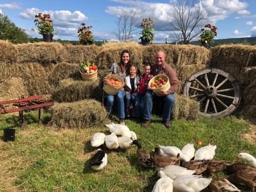 A family sits on hay bales holding baskets of fruit, surrounded by ducks and flowers on a sunny day.