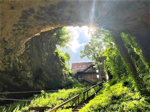 A cave entrance with sunlight streaming in, surrounded by lush greenery and a wooden staircase leading up.