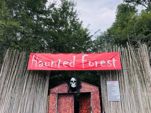 Entrance to a Haunted Forest, featuring a red banner and a skull decoration, surrounded by trees and bamboo.