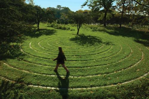A person walks through a grassy labyrinth with circular paths, surrounded by trees and sunlight.