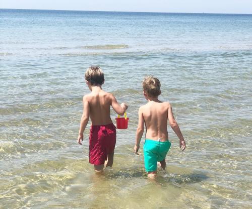 Two boys wade into the shallow water at the beach, one holding a red bucket, enjoying a sunny day.
