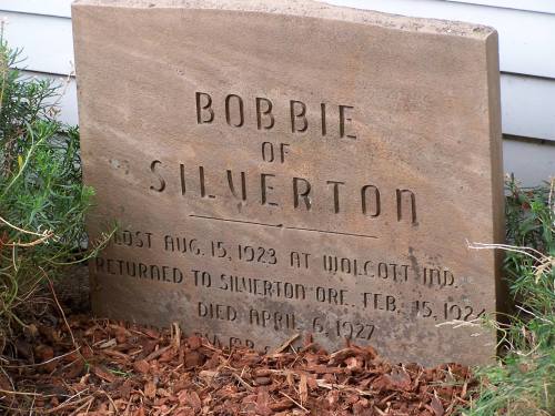Gravestone for Bobbie of Silverton, detailing dates of birth, return, and death, surrounded by greenery.