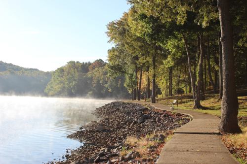 A serene lakeside path lined with trees, fog rising from the water, and a bench overlooking the calm surface.