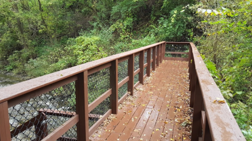 A wooden walkway with a railing, surrounded by lush greenery and a small creek, on a rainy day.