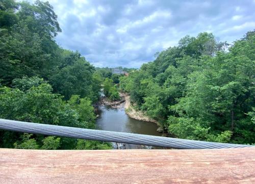 A scenic view of a river winding through lush green trees under a cloudy sky.