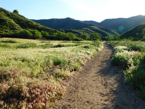 A dirt path winds through a grassy field, surrounded by lush green hills under a bright sky.