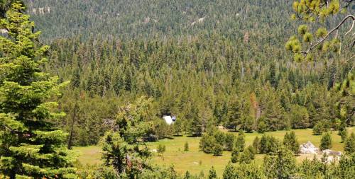 A lush green forest with a small white structure nestled among the trees, surrounded by rolling hills and rocky outcrops.