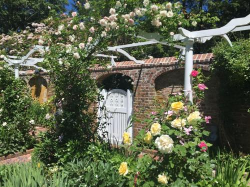 A lush garden with blooming roses and a white gate surrounded by brick walls and greenery under a clear blue sky.
