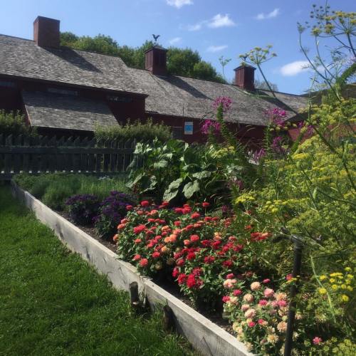A vibrant flower garden with colorful blooms in front of a rustic red building under a clear blue sky.