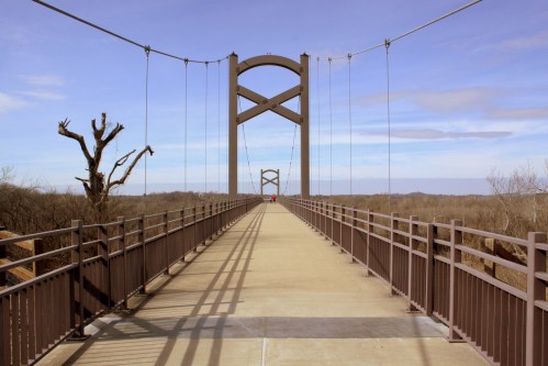 A suspension bridge stretches into the distance, framed by trees and a clear blue sky.