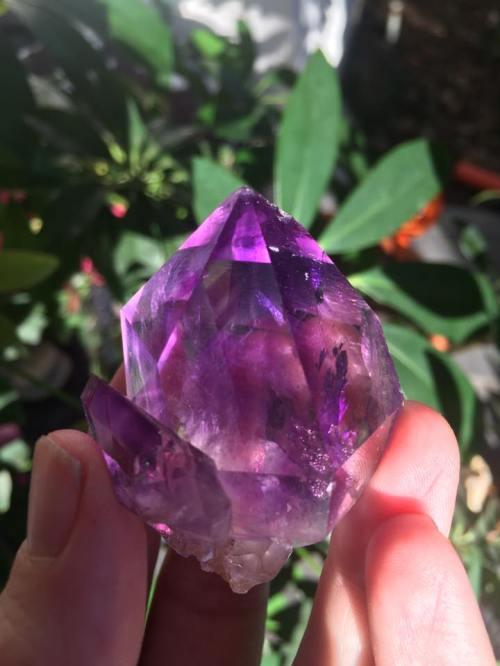 A hand holding a large, faceted purple amethyst crystal against a backdrop of green leaves.
