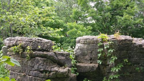 Ruins of stone structures partially covered in greenery, surrounded by dense trees and foliage.