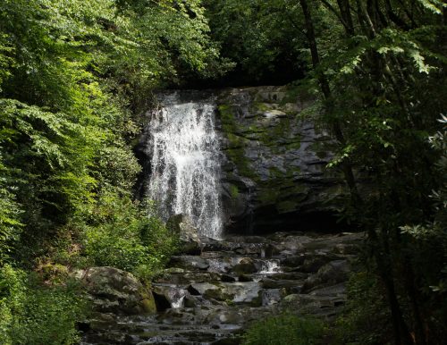 A serene waterfall cascading over rocks, surrounded by lush green trees and foliage.