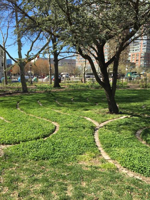 A serene park scene featuring winding paths through lush green grass and trees, with buildings in the background.