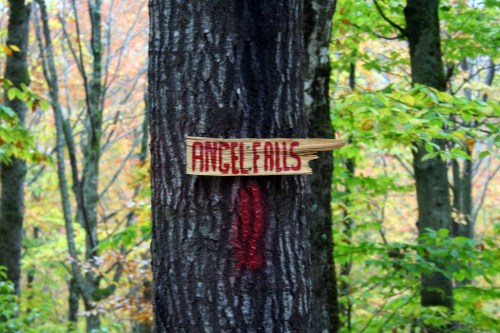 A wooden sign reading "Angel Falls" attached to a tree in a colorful forest setting.