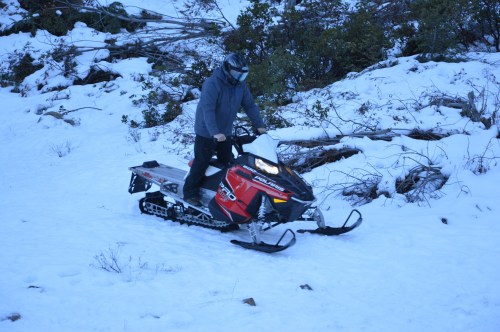 A person riding a red snowmobile on a snowy landscape with trees in the background.