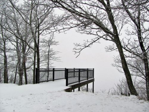 A snowy landscape featuring a wooden viewing platform surrounded by bare trees and a foggy, white backdrop.