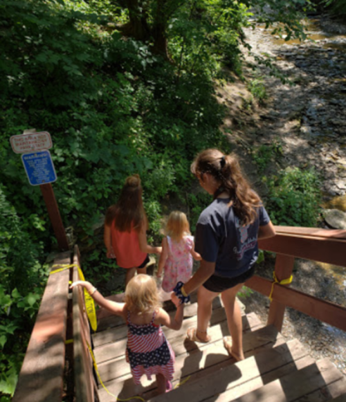 A group of children and an adult walking down wooden steps towards a creek, surrounded by lush greenery.