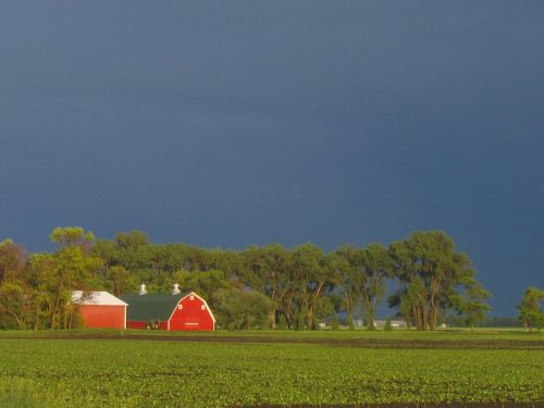 A red barn and white shed stand amidst green fields under a dark, cloudy sky, with trees in the background.