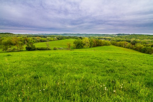Lush green hills under a cloudy sky, with trees and a distant landscape stretching into the horizon.