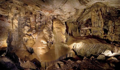 A dimly lit cave interior featuring large, textured rock formations and stalactites hanging from the ceiling.