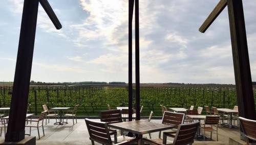 A scenic view of vineyards under a cloudy sky, framed by wooden structures and outdoor seating.