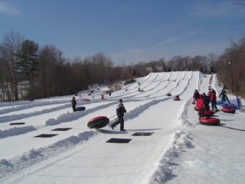 A snowy tubing hill with people sliding down on inflatable tubes and others walking back up the slope.
