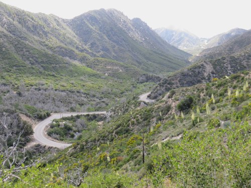 A winding road through lush green mountains, with hills and valleys under a bright sky.
