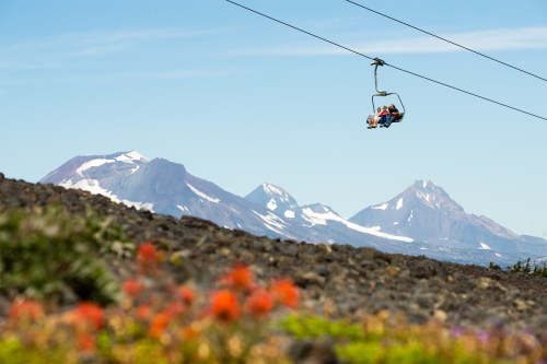 A chairlift carries passengers over a landscape of mountains and colorful wildflowers under a clear blue sky.