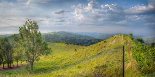 A panoramic view of rolling green hills under a cloudy sky, with a fence and trees in the foreground.