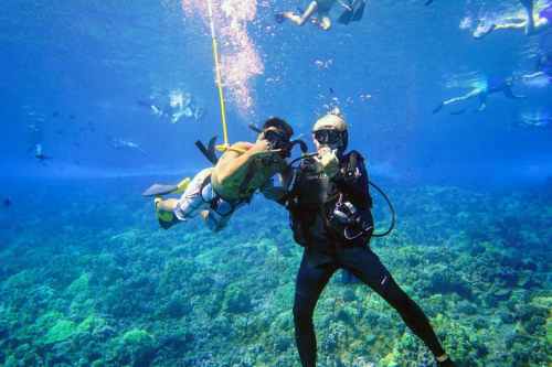Two divers underwater, one holding a camera, surrounded by colorful coral and fish in a clear blue ocean.