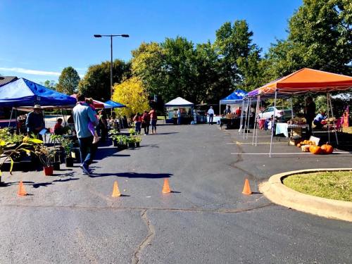 A vibrant outdoor market with colorful tents, people browsing, and plants for sale on a sunny day.