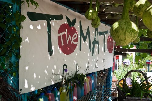 A colorful sign reading "The Tomato Place" hangs in a garden, surrounded by greenery and hanging gourds.