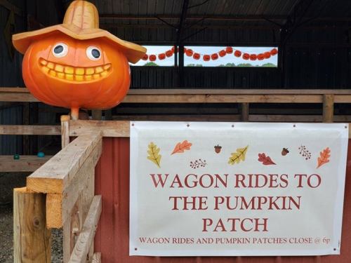 A smiling pumpkin scarecrow stands next to a sign for wagon rides to the pumpkin patch, decorated with autumn leaves.