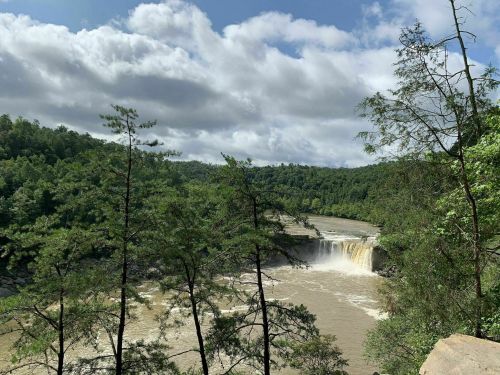 A scenic view of a waterfall surrounded by lush green trees and a cloudy sky.