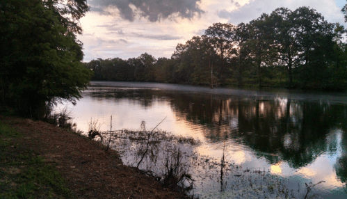 A serene river scene at sunset, with trees lining the banks and soft reflections on the water's surface.