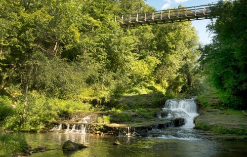 A serene landscape featuring a waterfall and a wooden bridge surrounded by lush greenery.