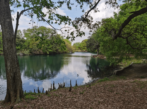 A serene lake surrounded by lush greenery and trees, reflecting the sky and nature in calm waters.