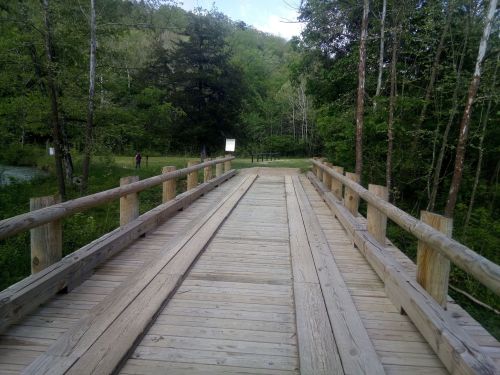 A wooden bridge leads into a lush green forest, surrounded by trees and a clear sky.