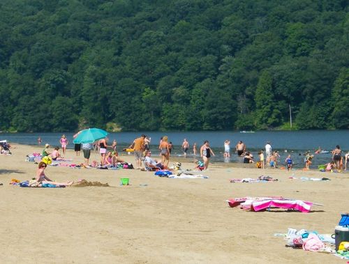 A busy beach scene with people swimming, sunbathing, and playing on the sand near a lake surrounded by trees.