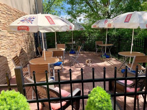 Outdoor patio with tables and umbrellas, surrounded by greenery and a fence, featuring a small dog on the ground.