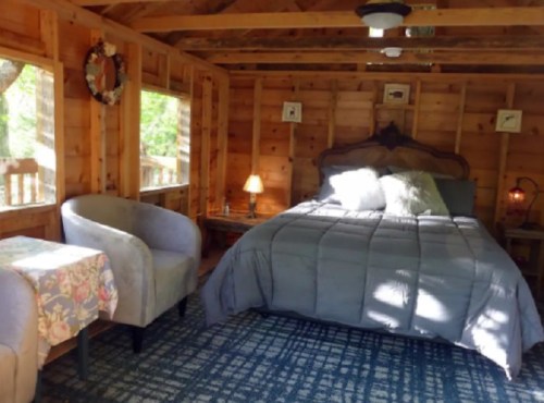 Cozy wooden cabin interior featuring a bed, armchair, and small table with floral cloth, surrounded by windows.