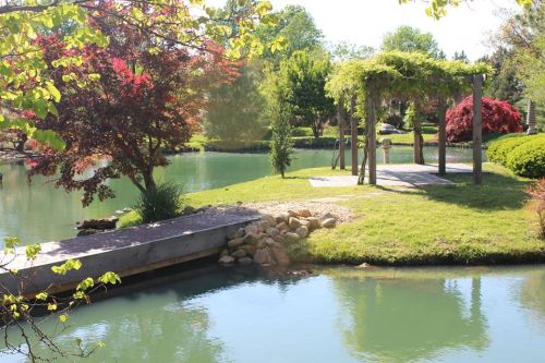A serene pond surrounded by lush greenery and colorful trees, featuring a wooden dock and a pergola.