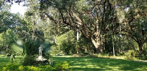 A lush garden scene featuring a large oak tree, greenery, and a statue surrounded by vibrant plants.
