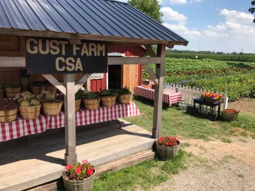 A farm stand with baskets of fresh produce under a roof, surrounded by green fields and colorful flower pots.