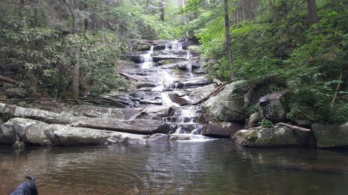 A serene waterfall cascades over rocky steps into a calm pool, surrounded by lush green trees and foliage.