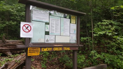 Signpost for Emery Creek Trail with maps and rules, surrounded by lush greenery and logs on the ground.