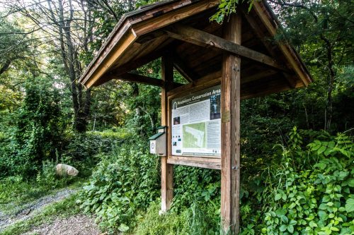 Wooden signpost at a conservation area, surrounded by greenery, displaying a map and information about the site.